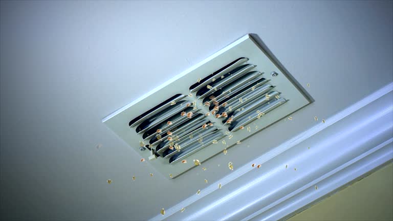 Best Air Duct Cleaning Near Me  in St Leo, FL