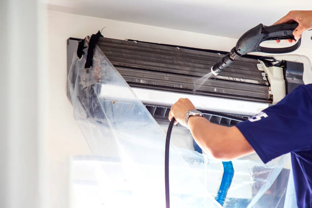 Best Local Air Duct Cleaning Services  in St Leo, FL