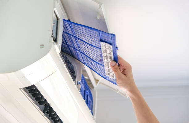 Best Air Duct Cleaning Near Me  in St Leo, FL
