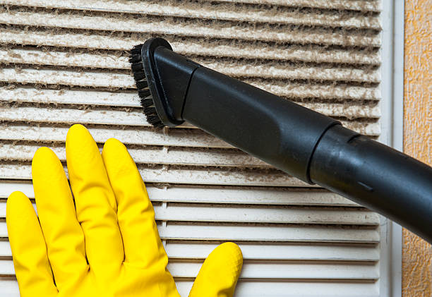 Best HVAC System Cleaning  in St Leo, FL